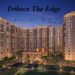 Tribeca The Edge