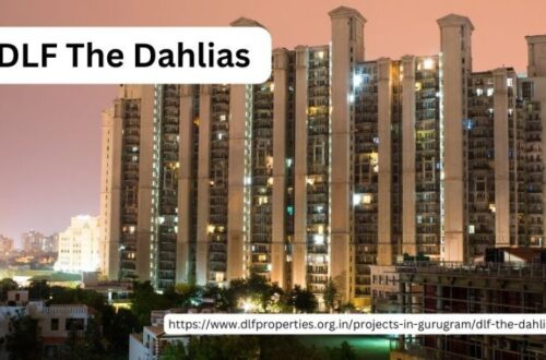 DLF The Dahlias